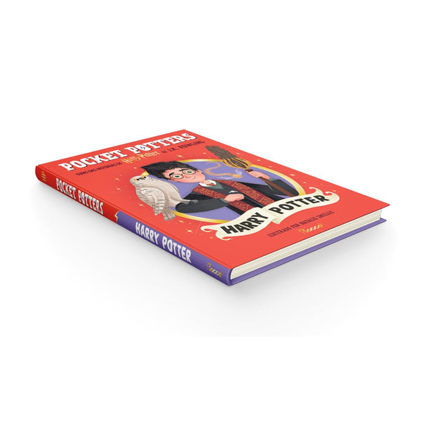 Pocket Potters: Harry Potter: Guias das histórias de Harry Potter de J.K. Rowling: 1