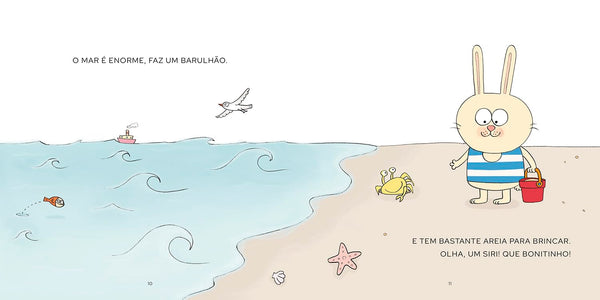 Bibo na praia