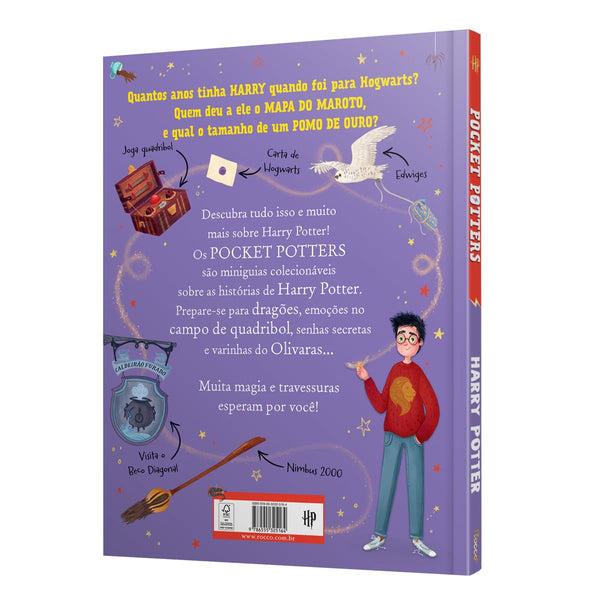 Pocket Potters: Harry Potter: Guias das histórias de Harry Potter de J.K. Rowling: 1