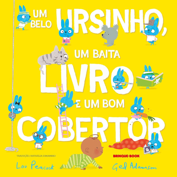 Um belo ursinho, um baita livro e um bom cobertor