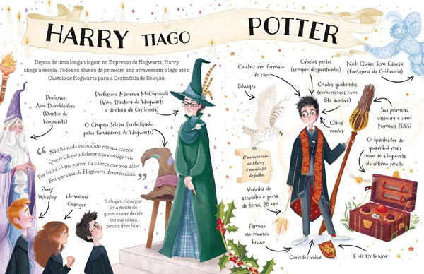 Pocket Potters: Harry Potter: Guias das histórias de Harry Potter de J.K. Rowling: 1