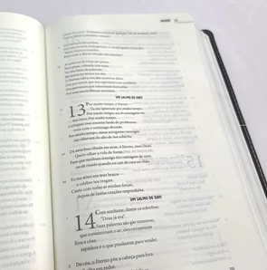 Bíblia A Mensagem - Capa Luxo Marrom